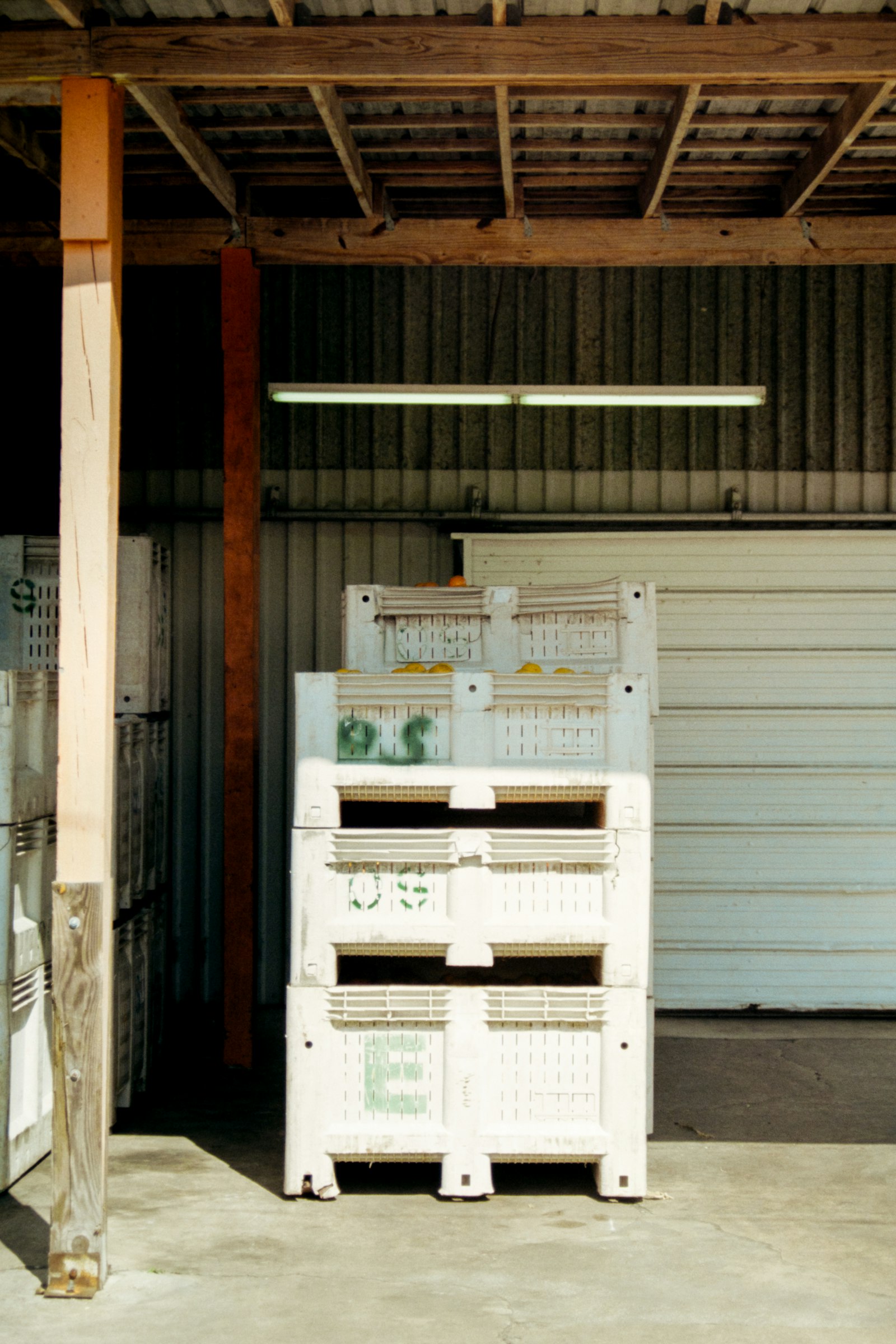 Food, Drink & Perishables operations